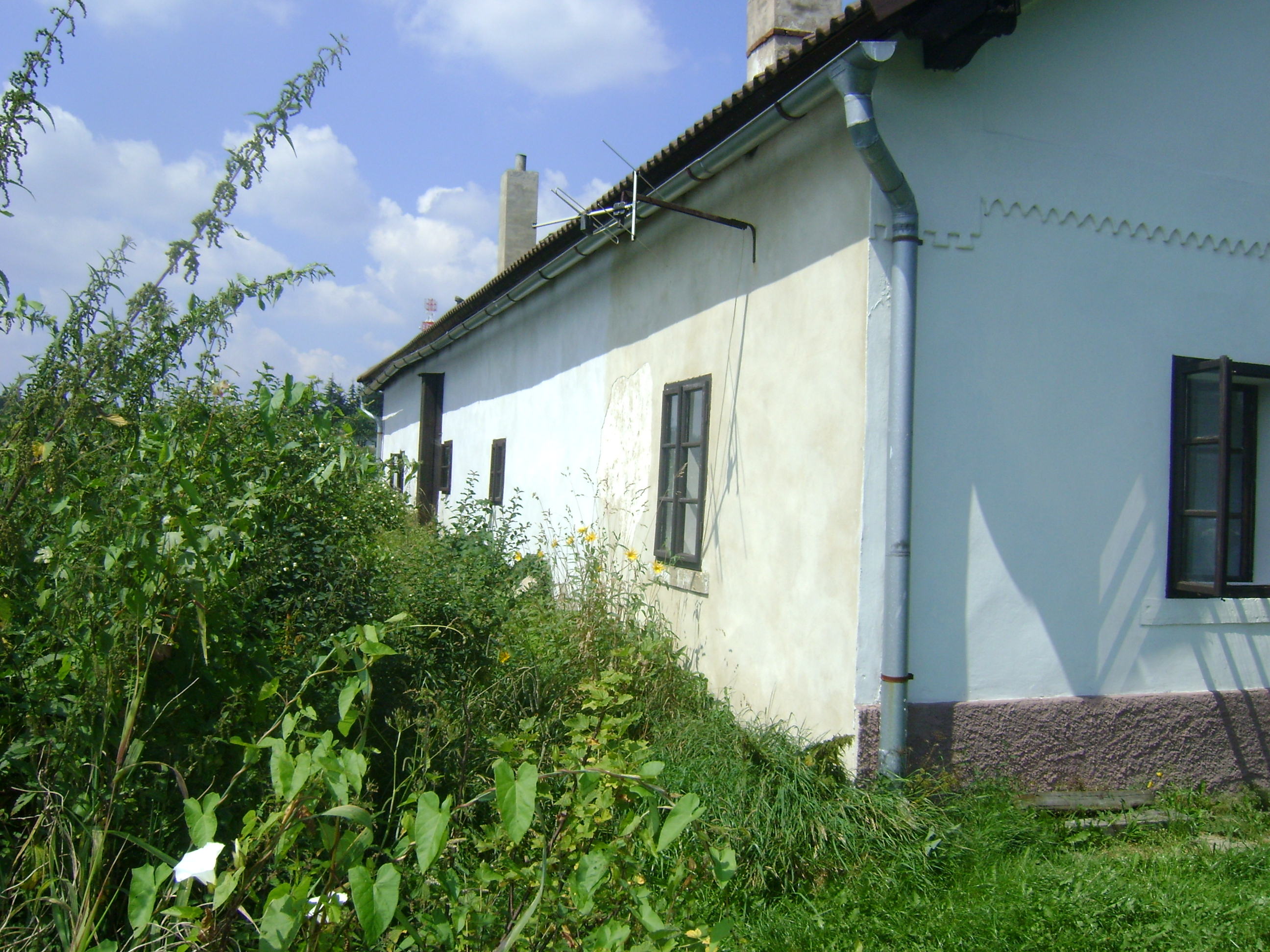 DSC00207
